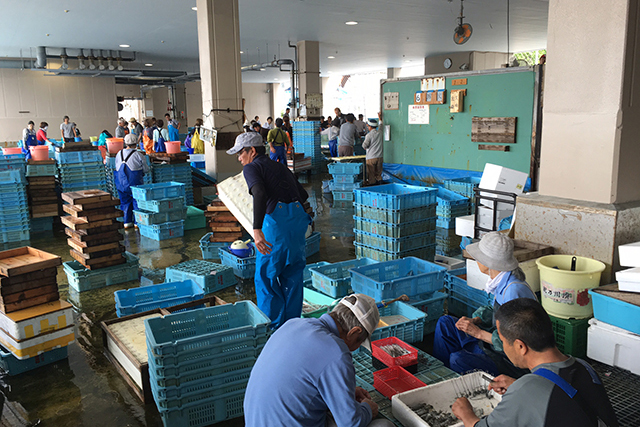 なぜ明石なのか。明石魚市場の変わった流通について