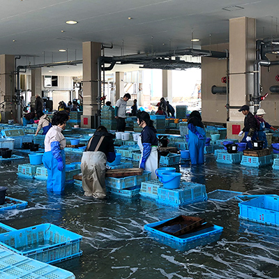 お料理について